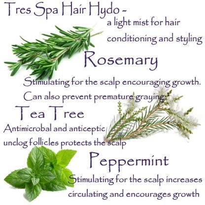 Tres Spa Hair Hydro Rosemary Tea Tree