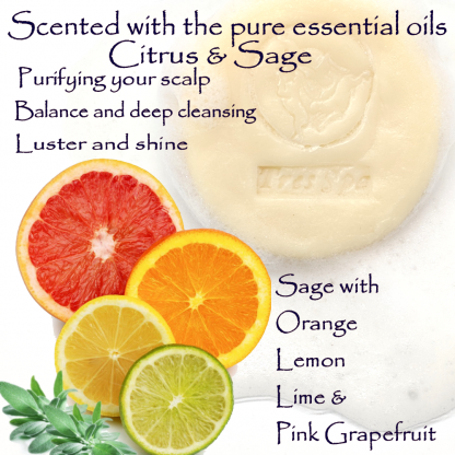 Très Spa Organic Conditioning Shampoo Citrus Sage Benefit